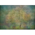 thumbnail image 2 of Holmstrom, Katarina 32x24 White Modern Wood Framed Museum Art Print Titled - Impressions Of A Tree, 2 of 4