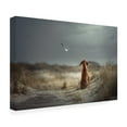 thumbnail image 4 of Canvas Wall Art - Heike Willers 'Freedom ' Wall Art for Living Room, Bedroom, or Office Décor by Trademark Fine Art - 47 x 30 Inches, 4 of 4