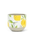 thumbnail image 1 of Planteur de Citrons, 1 of 4