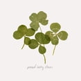 thumbnail image 2 of Popp, Grace 12x12 White Modern Wood Framed Museum Art Print Titled - Pressed Clover I, 2 of 4