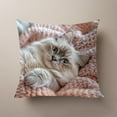 thumbnail image 4 of CaiYueKe Cute Pet Pillowcase Hidden Zipper Decorative Throw Pillow Cover Soft Plush Cuddly Pillow Case for Home Bedroom Living Room Sofa Office Decor Gift, 4 of 7