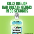 Listerine Zero Alcohol Mouthwash, Limited Edition Coconut Lime, 500 mL