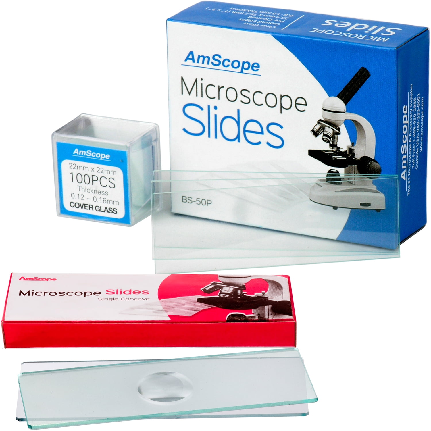 Concave Microscope Slide