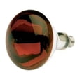 thumbnail image 3 of Satco S4998 250 Watt R40 Dimmable Red Heat Lamp Bulbs, 3 of 15