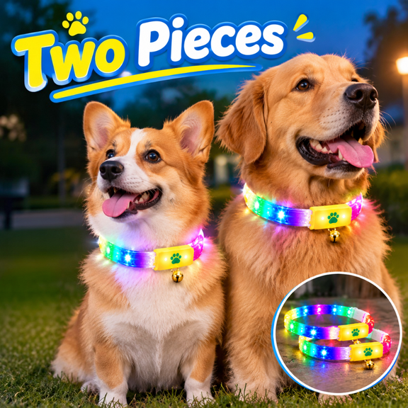 2 Pack USB Rechargeable LED Pet Collar with Bell, Light Up Dog Cat Collar for Night Walking
