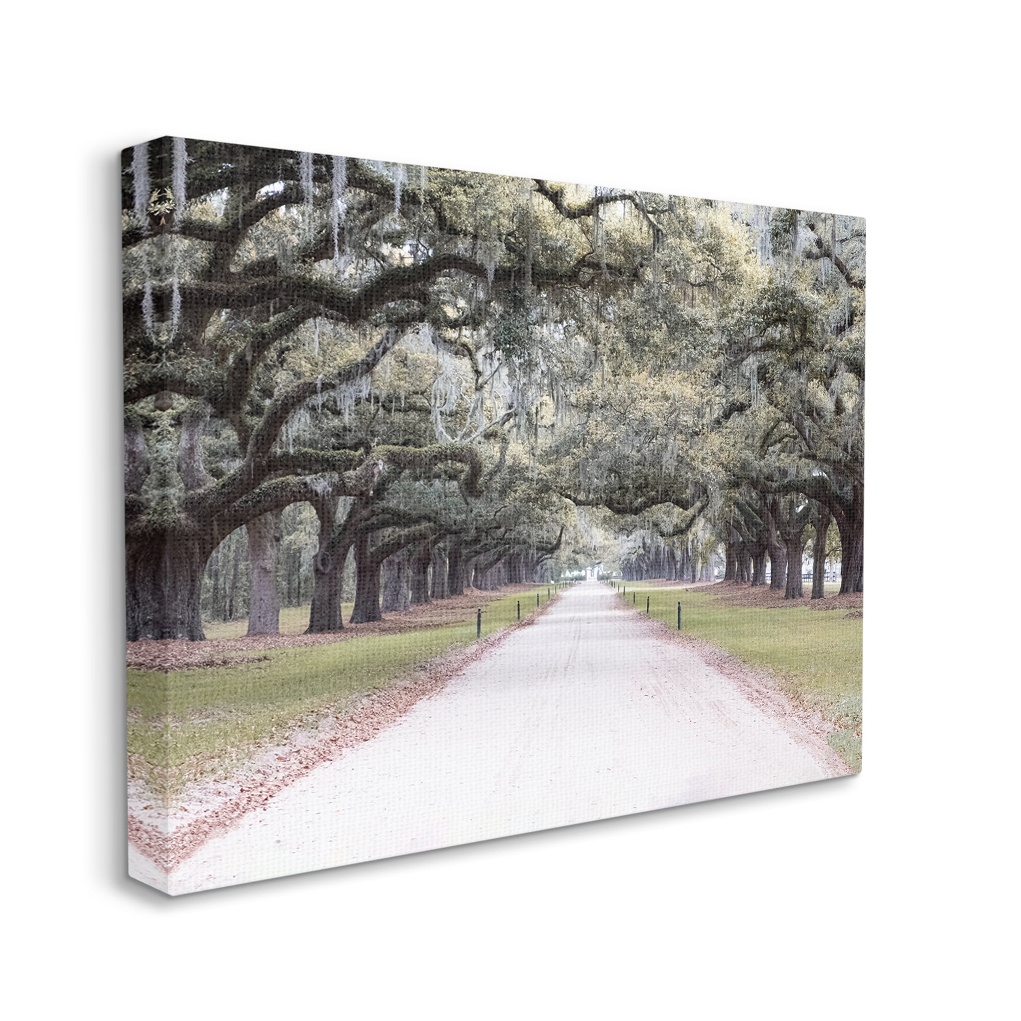 Stupell Industries Tree Grove Path Photography Landscape Photography Gallery Wrapped Canvas Art Print Wall Art, 40 x 30