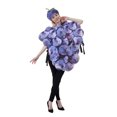 thumbnail image 2 of Gupgi Costume Raisins Violets pour Adulte Fruit Halloween Cosplay Tenues Gilet Sans Manches avec Chapeau, 2 of 7