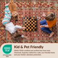 thumbnail image 4 of Design&I 4'x6' Ultra Soft Area Rug, Boho Vintage Throw Lattice Interlocking Motifs Ru Door Felpudo None Fluffy Washable Non Shedding for Bedroom Living Room Home Office, 4 of 7