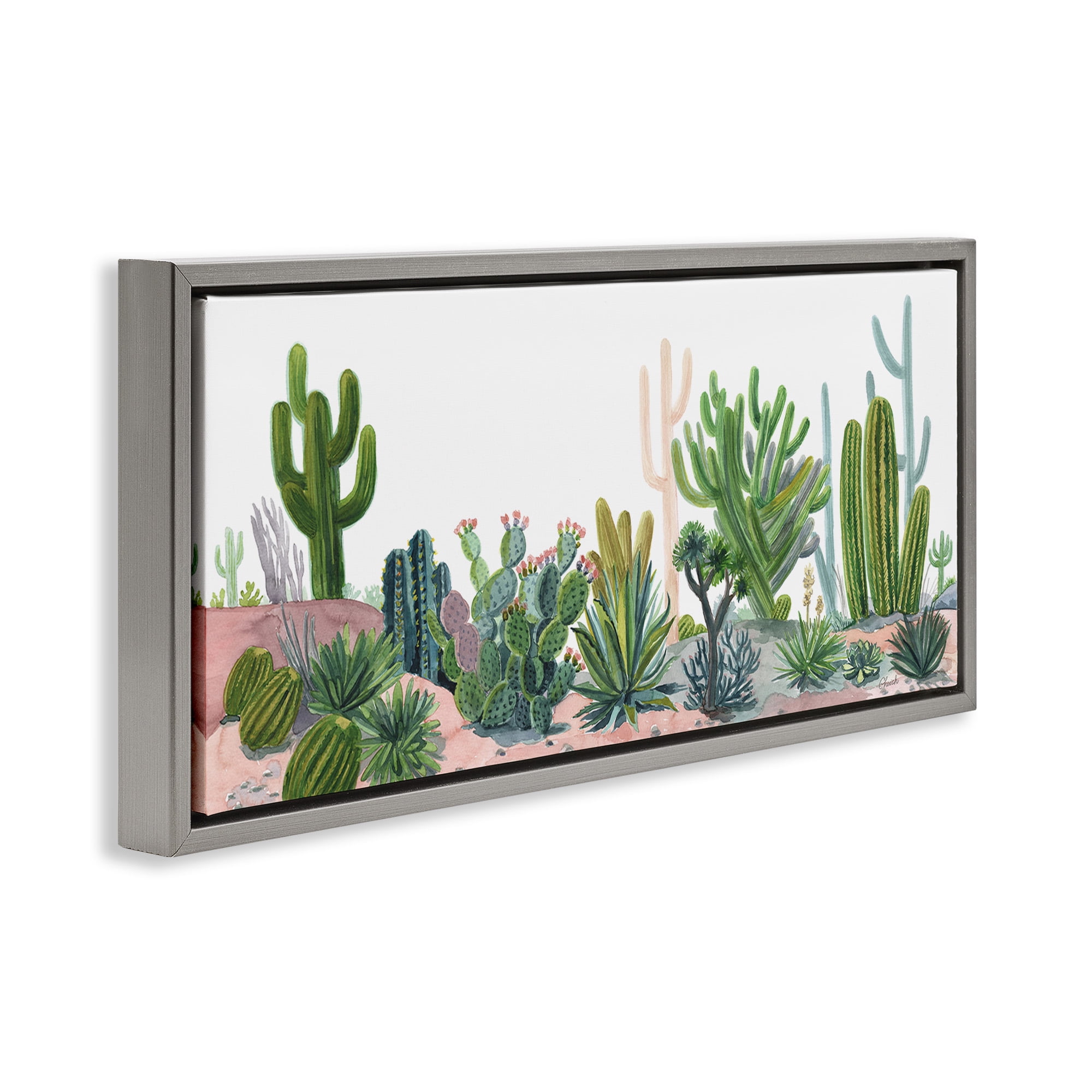 Stupell Industries Varied Desert Vegetation Cacti Botanical & Floral Painting Gray Floater Framed Canvas Art Print Wall Art, 25 x 11