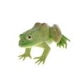 thumbnail image 1 of Realistic Plastic Animal Figure Simualtion Model Toys Green Bullfrog, 1 of 9