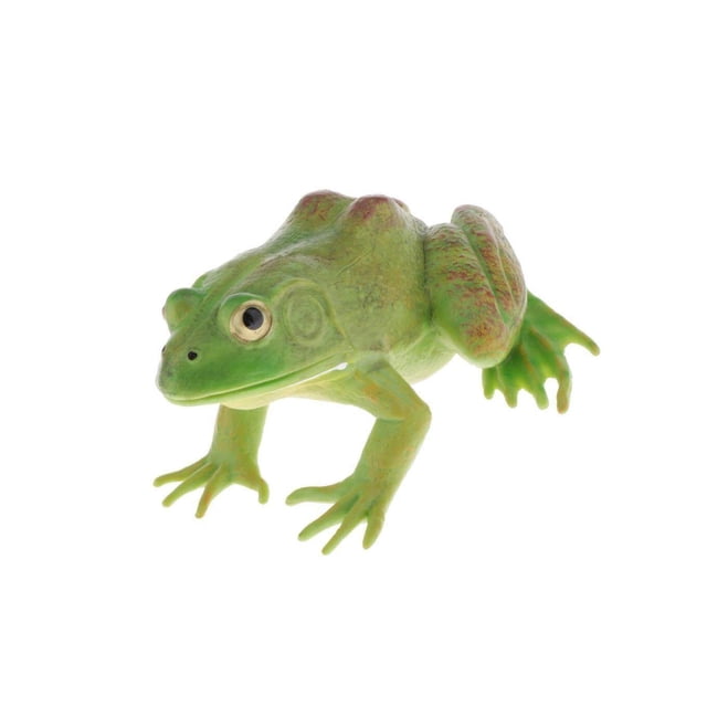 Realistic Plastic Animal Figure Simualtion Model Toys Green Bullfrog