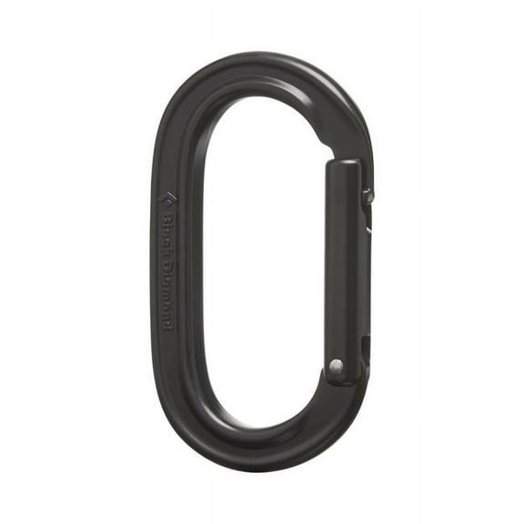 Black Diamond BKD BD210083POLSALL1 Oval Keylock Carabiner for Big Wall Mountaineering & Trad Climbing, Silver