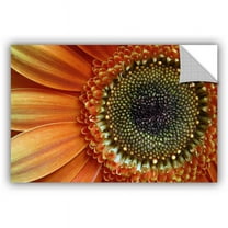 ArtAppealz Dan Holm "Big Orange" Removable Wall Art