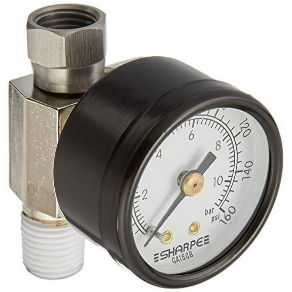 REGULATOR AIR ADJUSTING WITH GAUGE 0-160PSI 24AAV