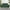Green, variant on Jumpeak 47" Small Modern Loveseat Sofa, Mid Century Linen Fabric 2-Seat Sofa Couch Tufted Love Seat with Back Cushions and Tapered Legs for Living Room, Bedroom and Small Space (Pink)