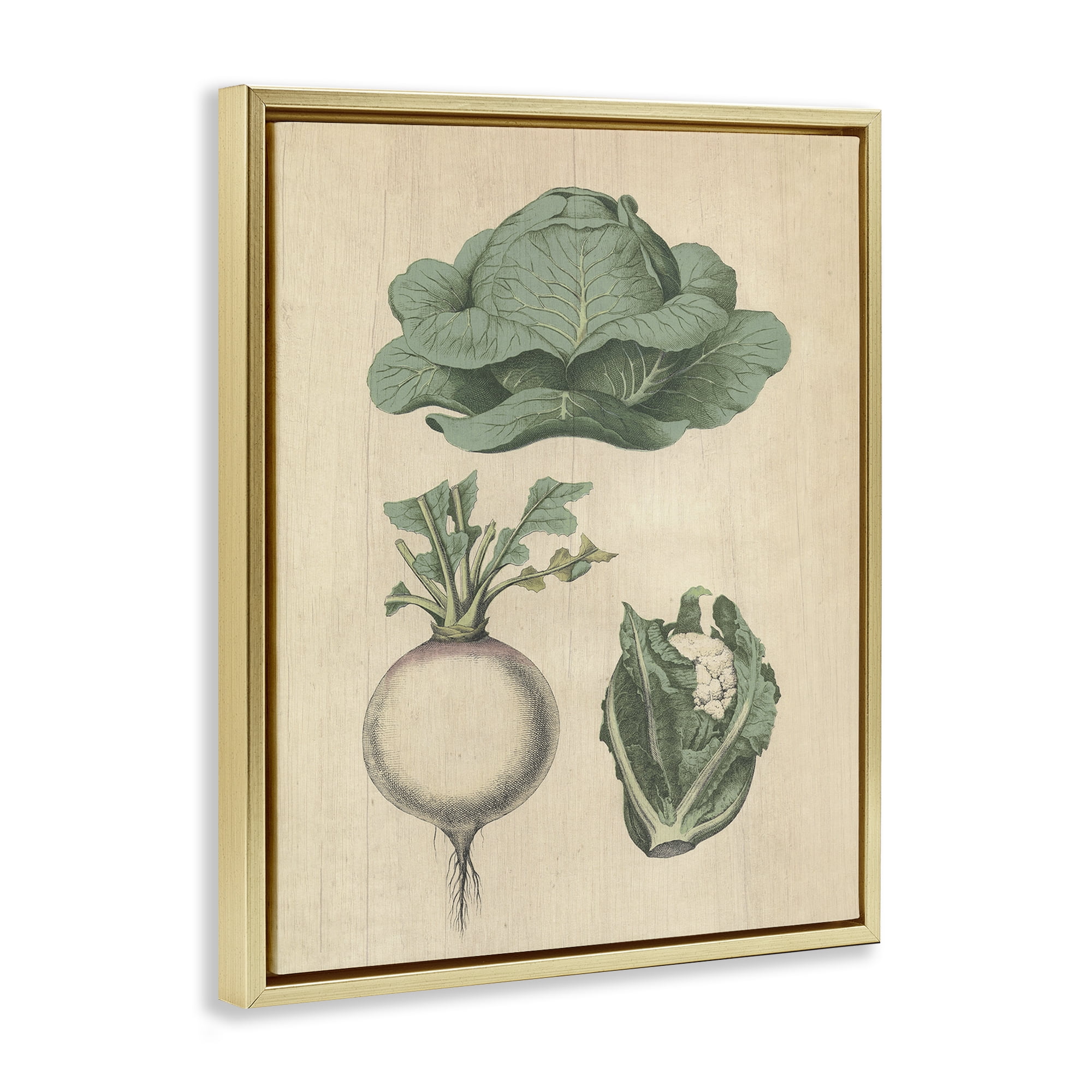 Stupell Industries Vintage Garden Vegetables Food & Beverage Painting Gold Floater Framed Canvas Art Print Wall Art, 17 x 21
