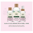 thumbnail image 4 of Humphreys ® Soothe and Clarify Witch Hazel with Rose Organic Toner, 8 fl oz, 4 of 10