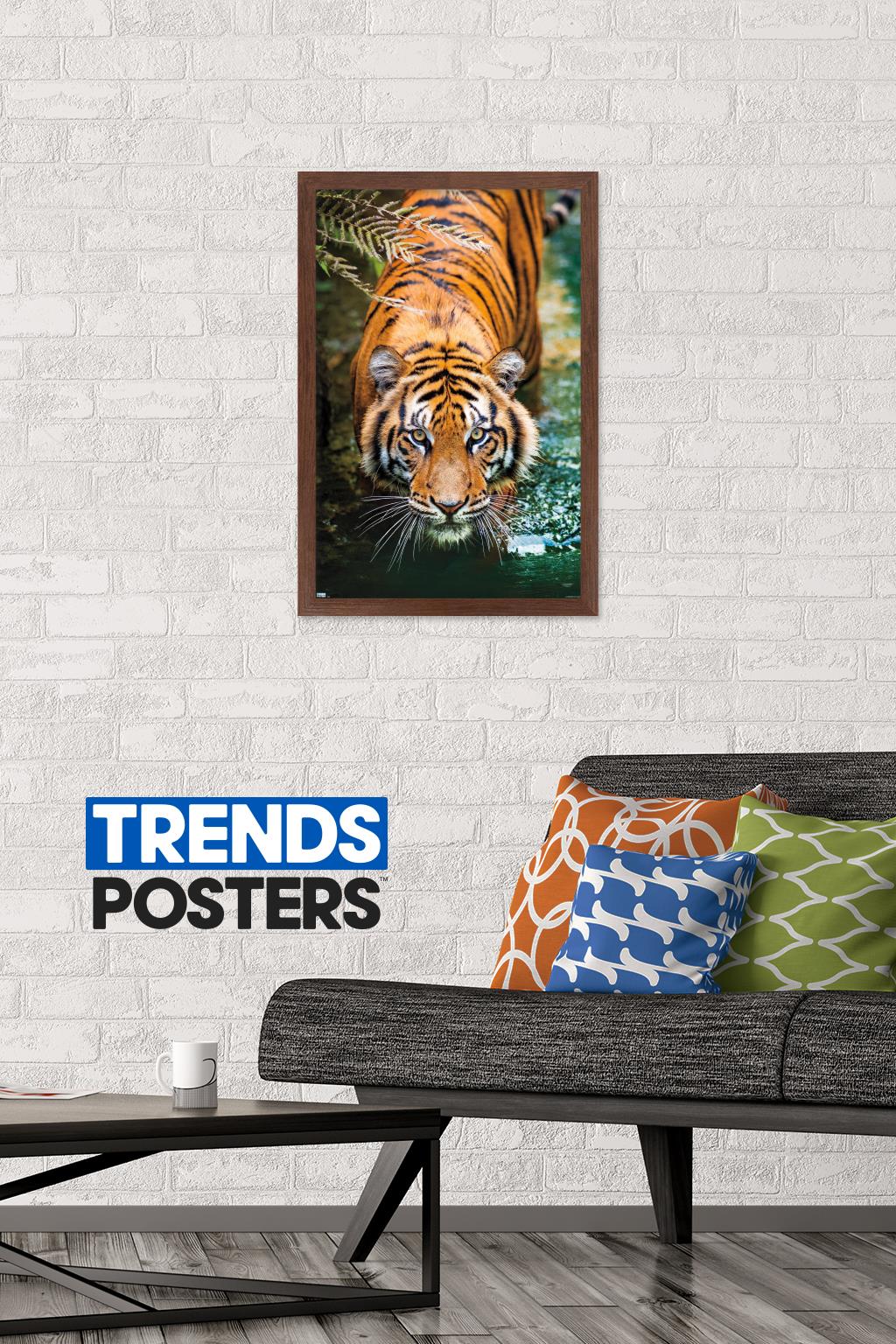 Tiger - Water Wall Poster, 14.725" x 22.375", Framed
