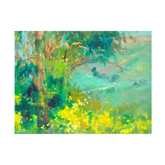Canvas Wall Art - Allayn Stevens 'The Valley' Wall Art for Living Room, Bedroom, or Office Décor by Trademark Fine Art - 19 x 14 Inches