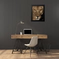 thumbnail image 4 of Niassa Lion Project 20x24 Black Modern Framed Museum Art Print Titled - Golden Eyes, 4 of 5