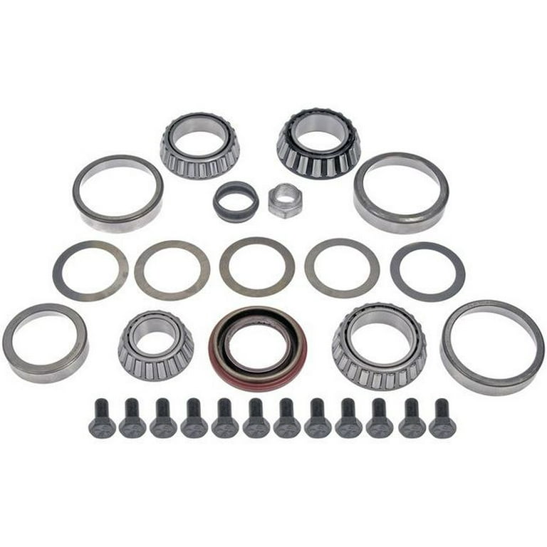 Rear Differential Bearing Kit - 9.25 Inch Ring Gear - with Bearings, Races,  Shims, Pinion Nut, Seals, and Marking Compound - Compatible with 2001 -  2010 Dodge Ram 1500 2002 2003 2004 2005 2006 