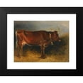 thumbnail image 2 of Friedrich Gauermann 18x15 Black Modern Framed Museum Art Print Titled - A Prize Cow, 2 of 5