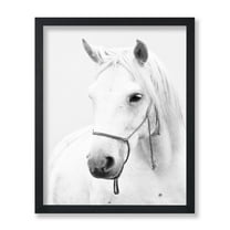 Poster Master White Horse Poster - Portrait Print - Photography Art - Black & White Art - Animal Art - Pony Art - Stallion Art - Equestrian Art - Living Room or Bedroom Decor - 8x10 UNFRAMED