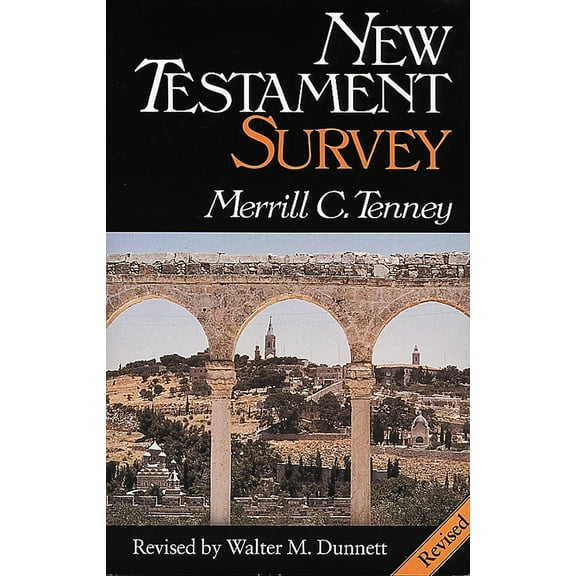 Pre-Owned New Testament Survey (Hardcover) 0802836119 9780802836113