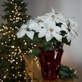thumbnail image 2 of Northlight Artificial Christmas Poinsettia Flowers with Wrapped Base - 22" - White, 2 of 6