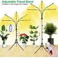 thumbnail image 7 of Aoksun 5-Head Adjustable LED Plant Lights, Full Spectrum Lamp with Timer for Indoor Plants, Warm White Grow Light for Various Plants, 7 of 7