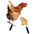 thumbnail image 3 of 2pcs Acrylic Chicken Stake Garden Sign Front Yard Lawn Chicken Signs Inserting Chicken Stake Decor, 3 of 9