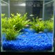 thumbnail image 4 of Guijarros luminosos para acuario que brillan en la oscuridad: piedras luminiscentes para paisajismo acuático, decoración de peceras, relleno de jarrones y jardinería. Grava luminosa de plást, 4 of 6