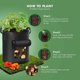 thumbnail image 5 of Paquete de 5 bolsas de cultivo de patatas de 10 galones, bolsa de plantación de jardín con mango duradero, macetas de tela no tejida gruesa para tomate, verduras y frutas Shuxiu Wang 8390615143509, 5 of 5