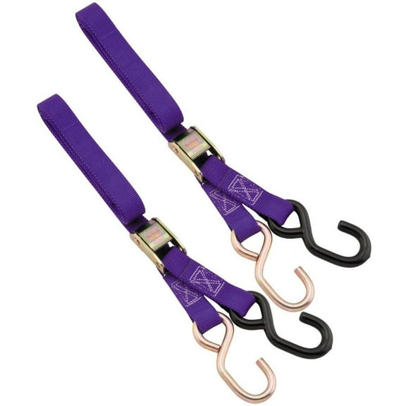 Bike Master 100512 1 in. Nylon Tiedown - Purple