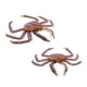 thumbnail image 4 of EeaseMX 1 modelo de animales marinos simulados, juguete de plástico para niños, adorno con forma de cangrejo., 4 of 7