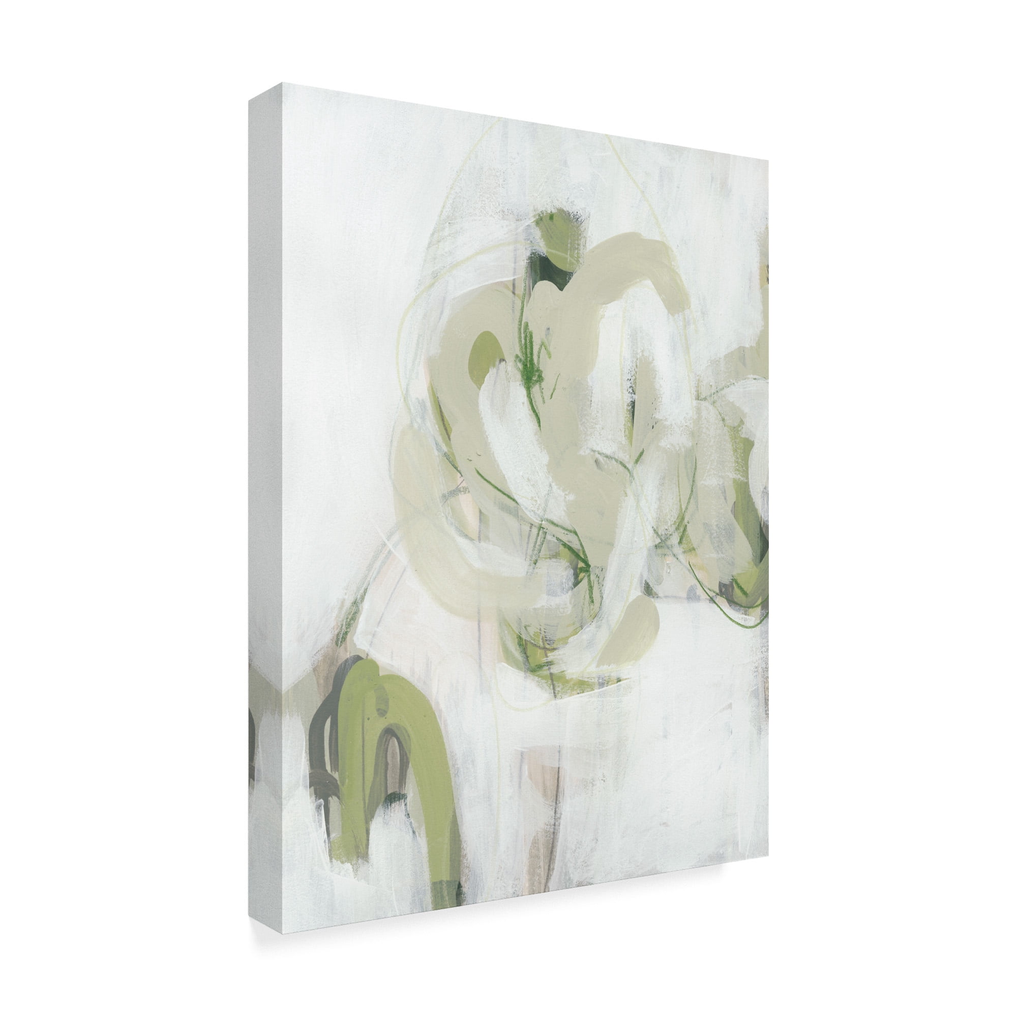 Trademark Fine Art 'Verge I' Canvas Art by June Erica Vess