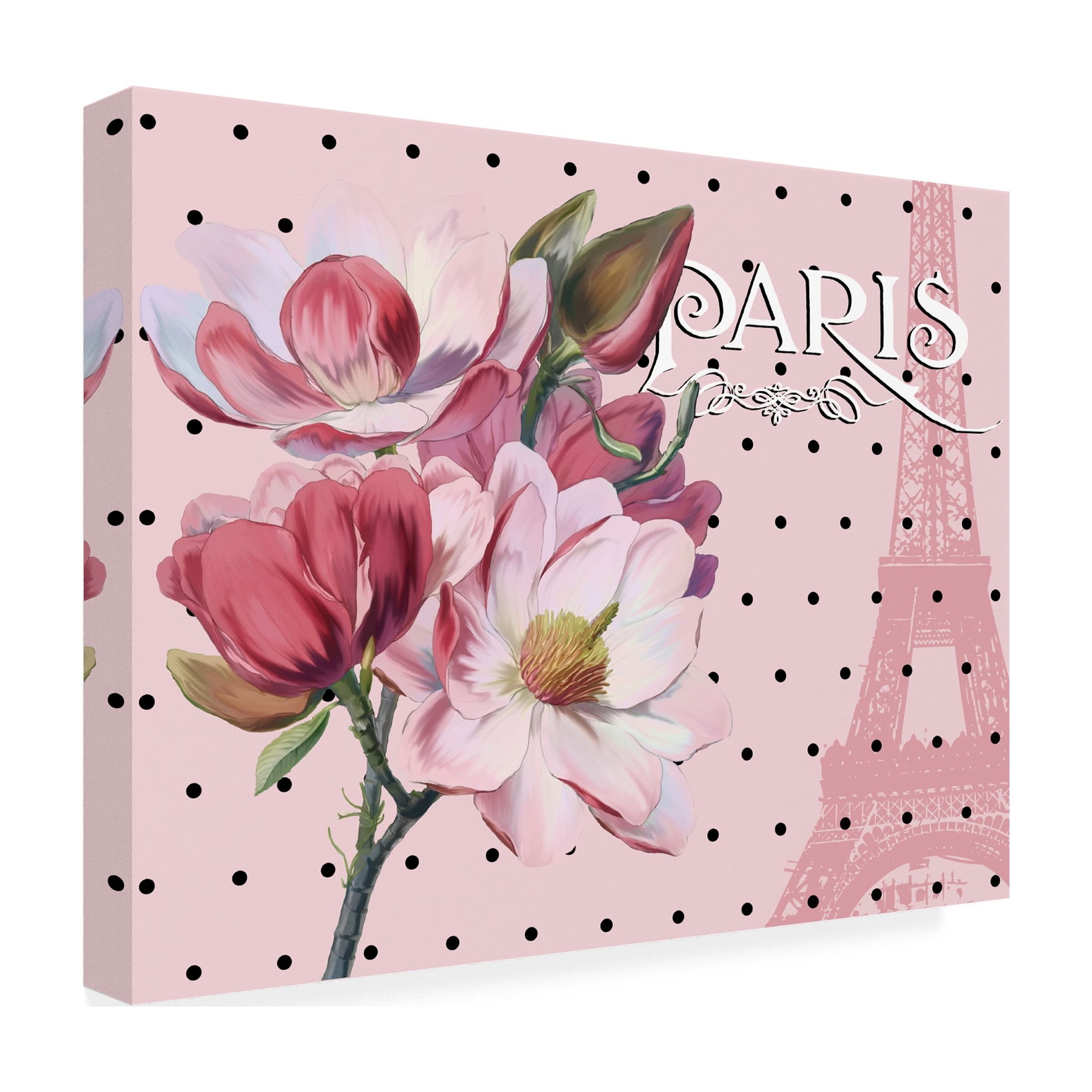 Trademark Fine Art 'Paris Magnolias I' Canvas Art by Tina Lavoie