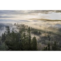 Posterazzi DPI12290369 Fog & Forest Seen from Coxcomb Hill - Astoria Oregon United States of America Poster Print by Robert L.Potts, 19 x 12