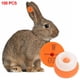 thumbnail image 3 of Etiquetas para orejas de animales, suministros para entrenamiento, etiquetas para patos, vacas, ganado, cerdos y terneros. naranja, 3 of 9