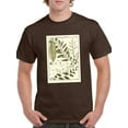 thumbnail image 1 of Fern Classification Iii T-Shirt Men -Denis Diderot Designs, Male 5X-Large, 1 of 4