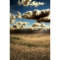 thumbnail image 2 of BSDHOME 5x7ft Photography Backdrop Nature Landscape Wheat Field Blue Sky White Cloud Ric Autumn Photo Background Backdrops, 2 of 4