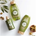 thumbnail image 4 of Garnier Whole Blends Leave-In Conditioner Legendary Olive, For Dry Hair, 10.2 fl. oz., 4 of 8