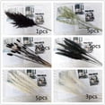 thumbnail image 4 of Hierba de pampa seca negra Plantas de hierba de pampa blanca Decoración Ramas de hierba de pampa artificial boho para arreglos florales de boda Decoración del hogar Xemadio CJWUS-7029, 4 of 4