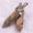 Picture stone, variant on 100PCS Natural Quartz Crystal Point Chakra Healing Gemstone Pendant Wholesale-gray agate