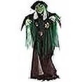 thumbnail image 3 of Haunted Hill Farm 6FT Standing Witch Animatronic, 3 of 4