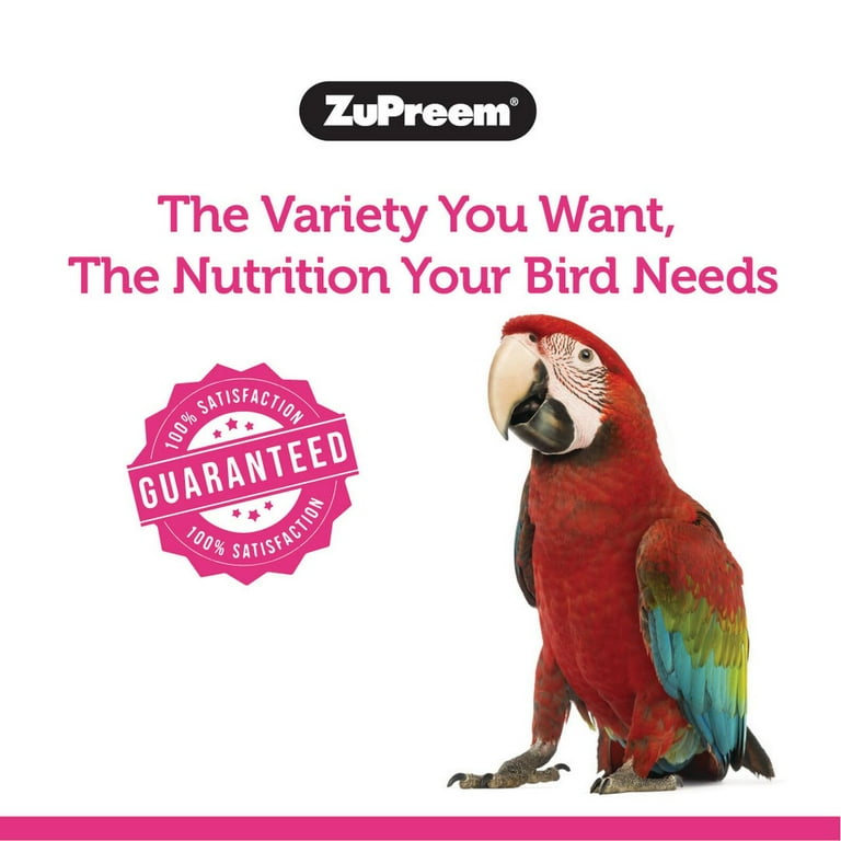 Scarletts shop parrot food