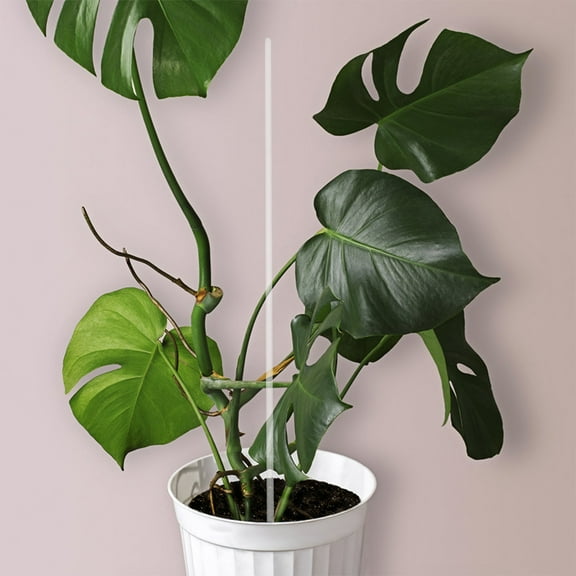 FUEENIRVA 20 Set Clear Acrylic Plant Stakes for Indoor Plants 17.7x0.4x0.4in