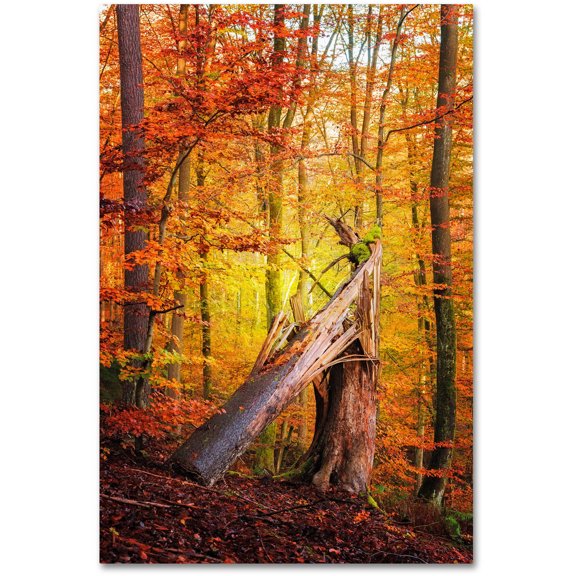 Trademark Fine Art "Broken Career" Canvas Art by Philippe Sainte-Laudy