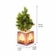 thumbnail image 3 of Hogar y jardín, Lámparas de escritorio, Luz de noche, Árbol de Navidad, Decoración de dormitorio, Luz de cabecera, Luz de terraza, Luz de maceta, Luz de árbol, Luces de festival, 3 of 6