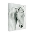 thumbnail image 2 of Grace Popp 'Horse Whisper II' Canvas Art, 2 of 3